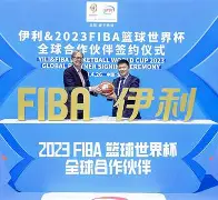 大型国际赛事 大型国际赛事